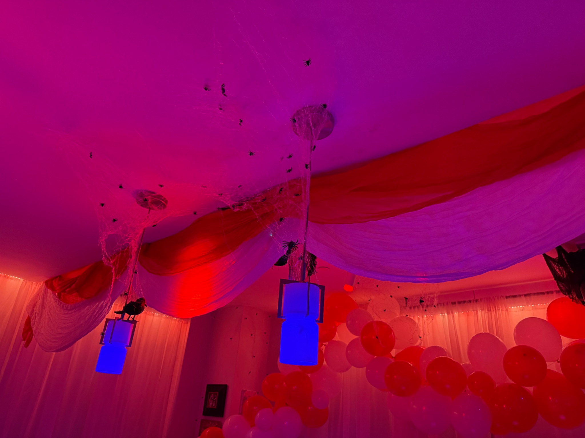 Red and white ceiling fabric carries into the main room.