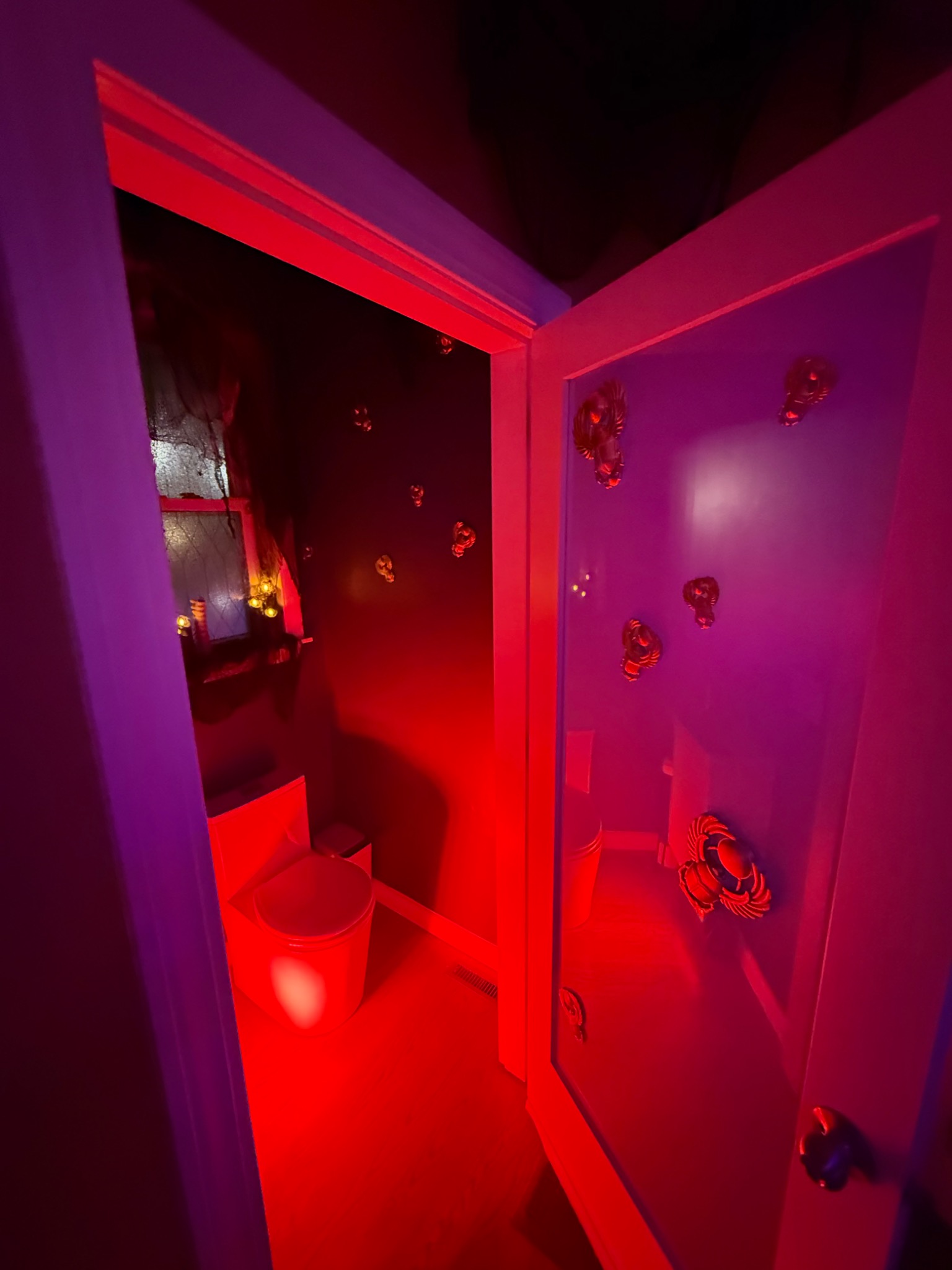 Scarabs on the door leading into the first clue’s room.