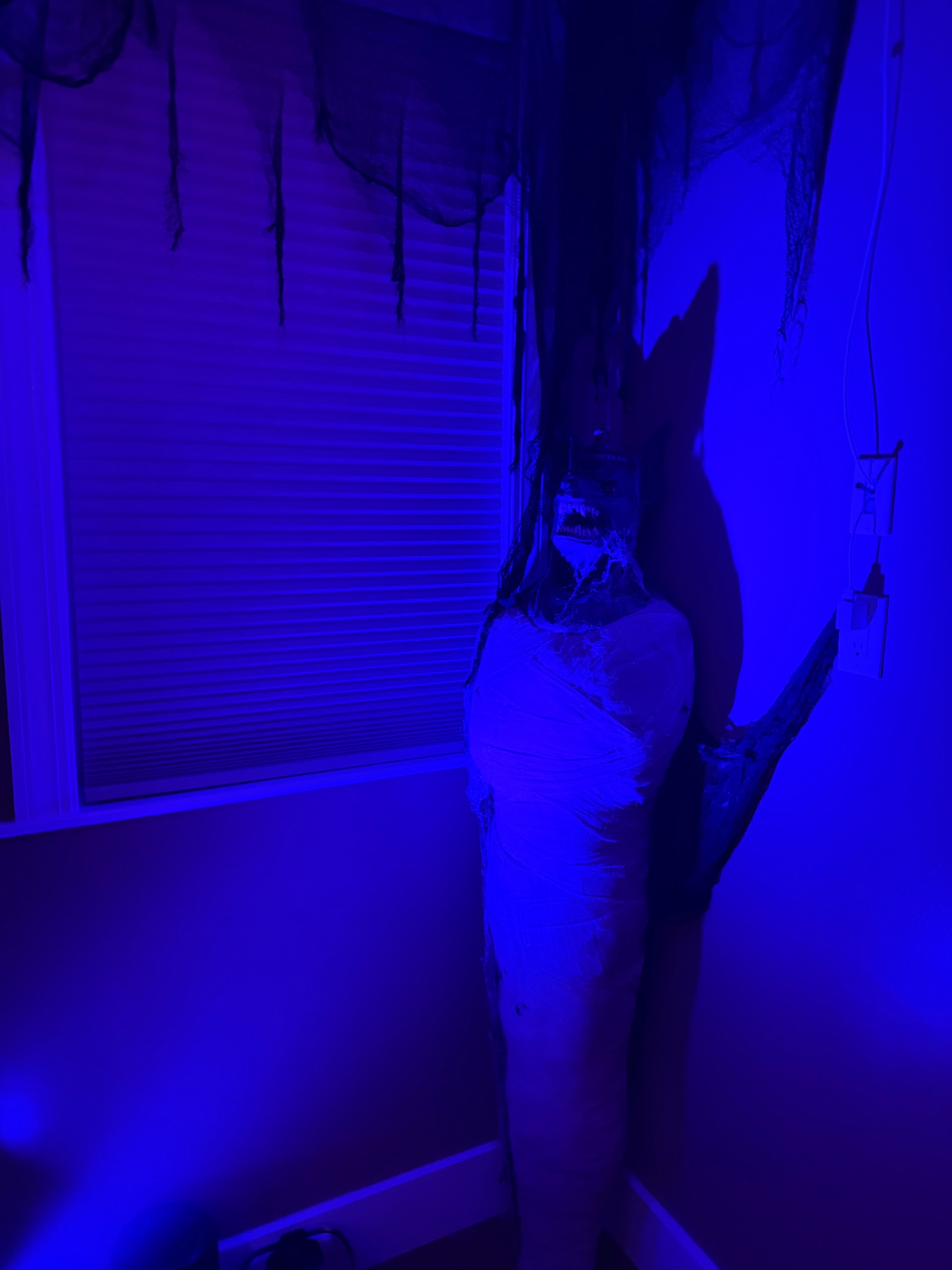A mummy and dark drapery under deep blue light.