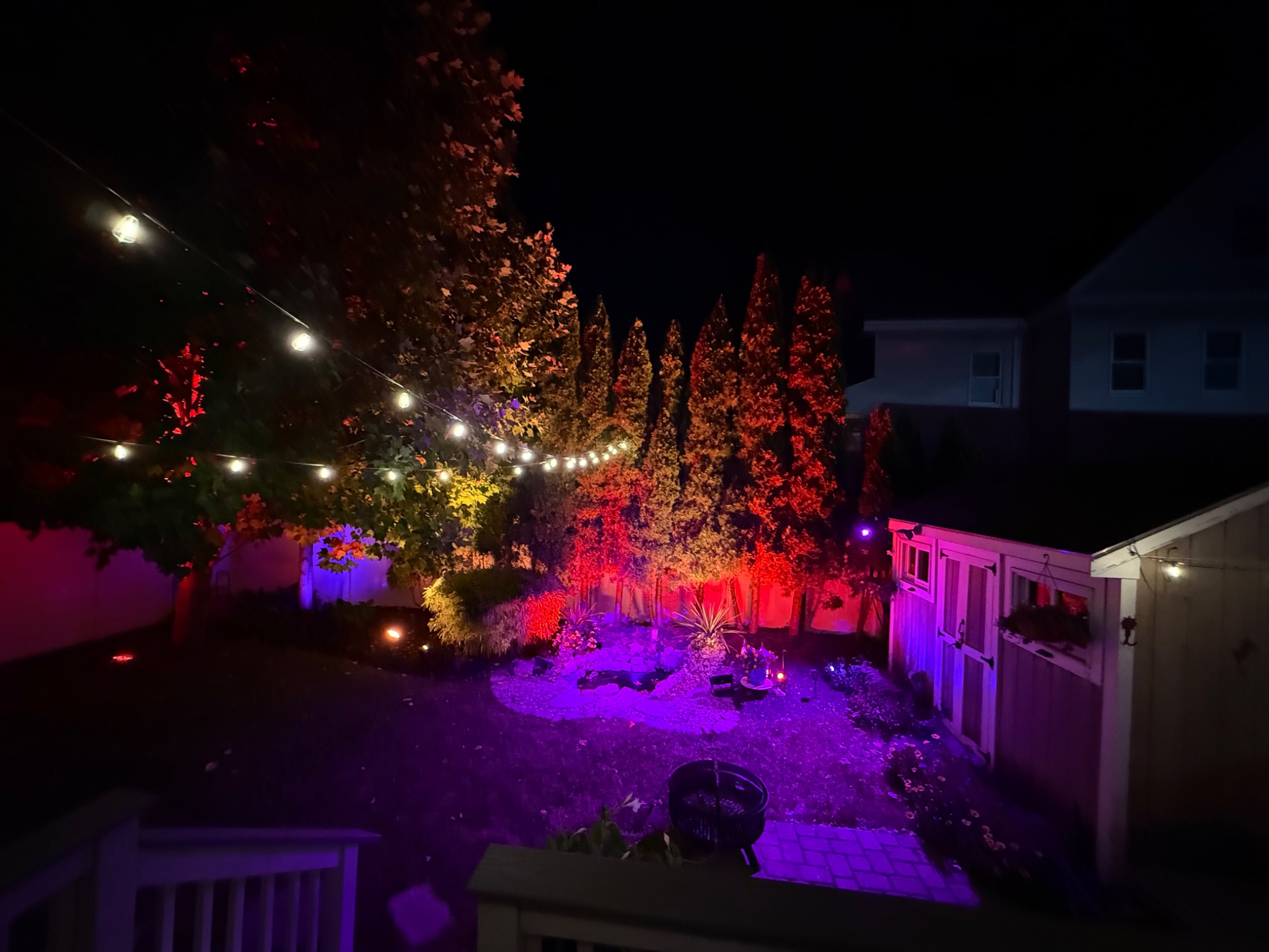 String lights and violet illumination in the garden.