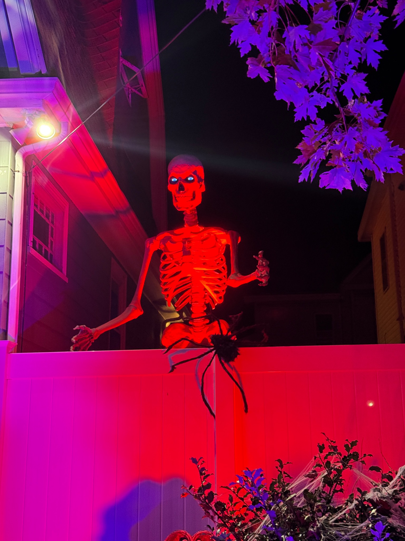 A skeleton lit red above the fence.